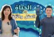 الحياة بين العقل والآلة