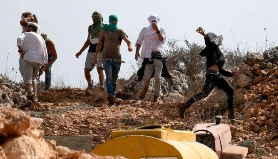 مستوطنون يدمرون مزرعة شمال غرب نابلس