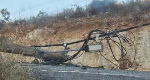 مستوطنون يقطعون أعمدة كهرباء في مادما جنوب نابلس