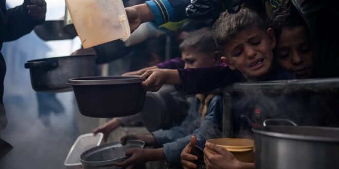 الأمم المتحدة: 94% من سكان غزة بحاجة إلى مأوى ومستلزمات أساسية