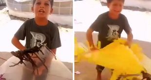 "عشان نتنياهو يرضى".. طفل في غزة يمزق طائراته الورقية احتجاجاً على واقع التهديد الأمني