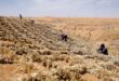 خبراء عرب في الصين لاستكشاف التجربة الصينية في مكافحة التصحر ودفع التنمية الخضراء