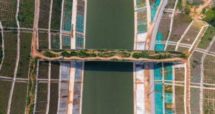 أول جسر مخصص لعبور الحيوانات البرية فوق قناة ملاحية في الصين