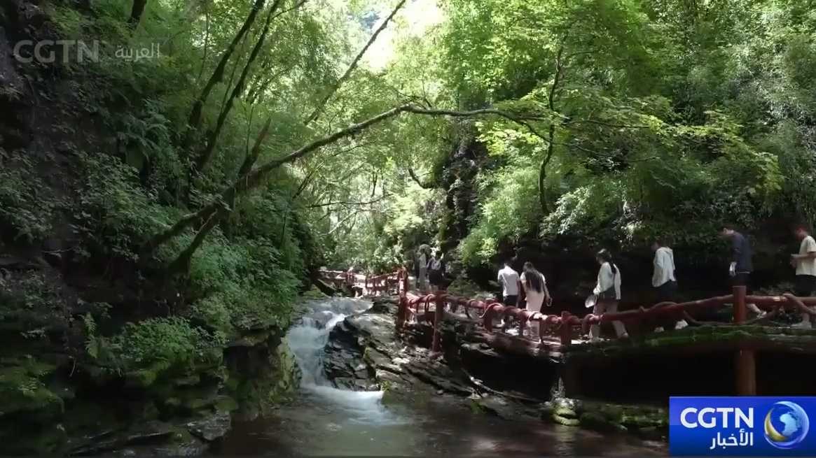 متنزه جبل ليوبان الوطني للغابات في نينغشيا: متوسط درجة الحرارة 18 درجة مئوية