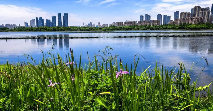 تحسن جودة الهواء والمياه في الصين خلال الأشهر السبعة الأولى