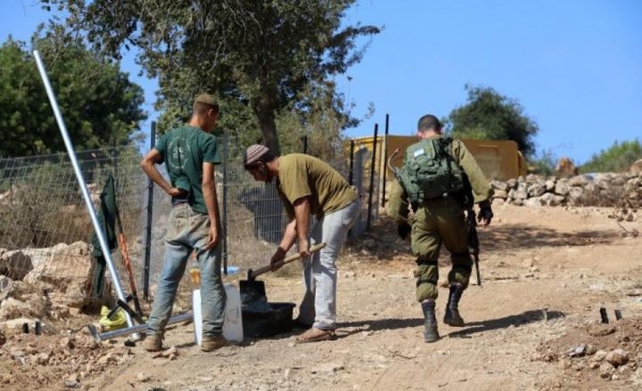 مستوطنون يسيجون أراضي في الأغوار الشمالية