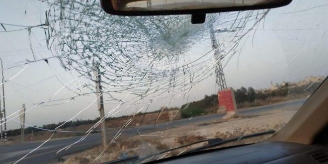 مستوطنون يصيبون مواطنا ويحطمون مركبة في الجفتلك شمال أريحا