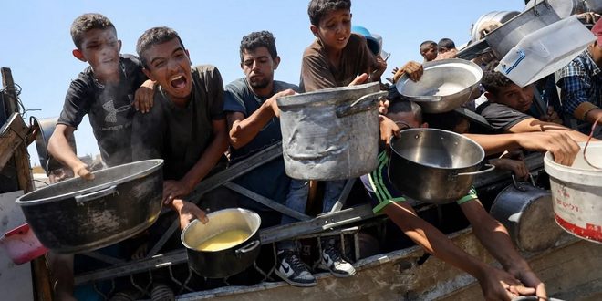 الأمين العام لجامعة الدول العربية يبحث مع غوتيريش المأساة الإنسانية في قطاع غزة وتصاعد انتهاكات الاحتلال في الضفة الغربية