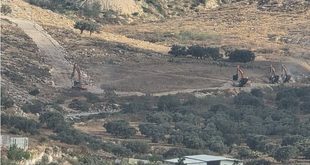 مستوطنون يجرفون أراضٍ زراعية ويقتلعون أشجار زيتون في نعلين غربي رام الله