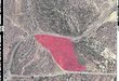 الاحتلال يقتلع عشرات الأشجار ويخطر بتجريف 29 دونما في بيت عور الفوقا برام الله