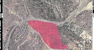 الاحتلال يقتلع عشرات الأشجار ويخطر بتجريف 29 دونما في بيت عور الفوقا برام الله