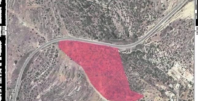 الاحتلال يقتلع عشرات الأشجار ويخطر بتجريف 29 دونما في بيت عور الفوقا برام الله