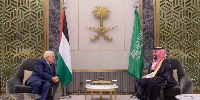 السعودية: السلام العادل والدائم لا يمكن تحقيقه إلا بتنفيذ حل الدولتين
