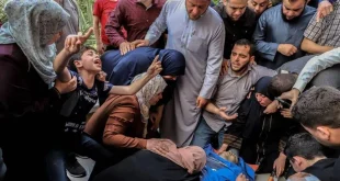 وسط استمرار العدوان.. 3 شهداء جدد في القطاع وحصيلة الضحايا تتجاوز 74 ألفاً