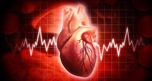 عادة يومية بسيطة قد تقلل خطر الوفاة بأمراض القلب
