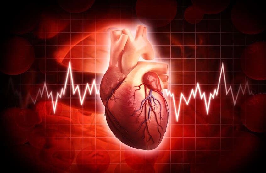 عادة يومية بسيطة قد تقلل خطر الوفاة بأمراض القلب
