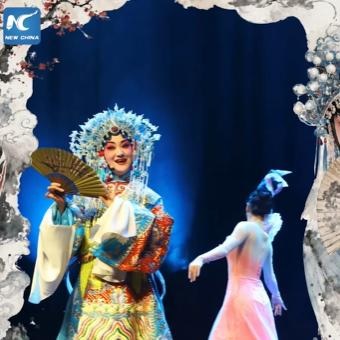 مهرجان الصين لعام 2026 في مدينة دويسبورغ الألمانية