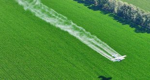 الصين بصدد تعزيز الأمن الغذائي عبر سلسلة إمدادات الحبوب في الفترة 2026-2030