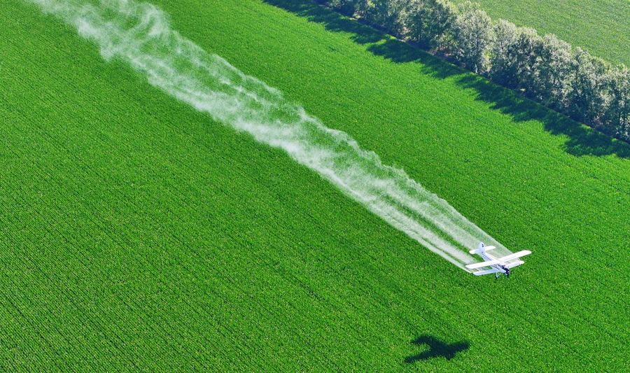 الصين بصدد تعزيز الأمن الغذائي عبر سلسلة إمدادات الحبوب في الفترة 2026-2030