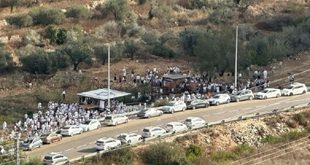عشرات المستوطنين يقتحمون منطقة "واد ريا" شمال غرب رام الله