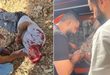 نابلس: إصابات وأضرار مادية في هجمات متزامنة للمستوطنين على "سبسطية" و"أوصرين"
