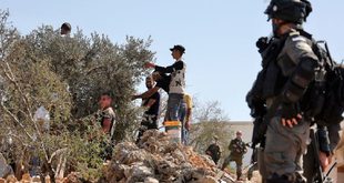 قوات الاحتلال تمنع المزارعين من قطف ثمار الزيتون في كفر نعمة غرب رام الله