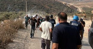 الاحتلال يصعد اعتداءاته برام الله: إصابة صحفي وعشرات المواطنين خلال قطف ثمار الزيتون في قرية دير أبو مشعل