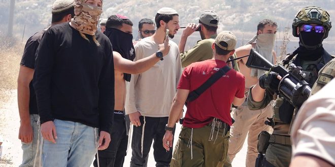 مستوطنون يستولون على مركبة ويسرقون ثمار زيتون ومعدات زراعية في عين يبرود شرق رام الله