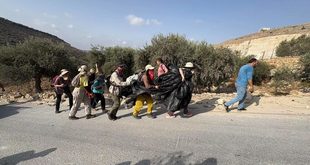 لليوم الثاني: مستوطنون يهاجمون قاطفي الزيتون والمتضامنين في دير جرير
