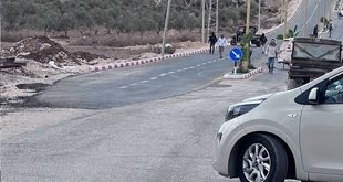 "هيئة الجدار": 40 اعتداء لقوات الاحتلال والمستوطنين بحق المزارعين