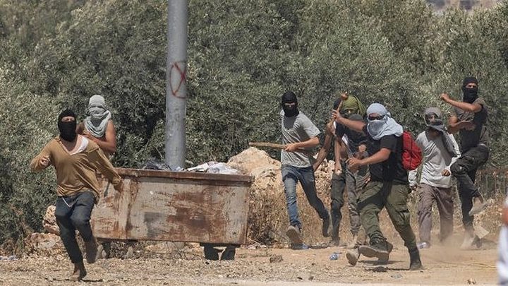 مستوطنون يهاجمون قاطفي الزيتون في بيت اكسا والاحتلال يعتقل مواطنا