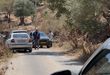 مستوطنون يعتدون على قاطفي الزيتون في قرية مراح رباح جنوب بيت لحم