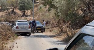 مستوطنون يعتدون على قاطفي الزيتون في قرية مراح رباح جنوب بيت لحم