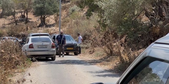 مستوطنون يعتدون على قاطفي الزيتون في قرية مراح رباح جنوب بيت لحم