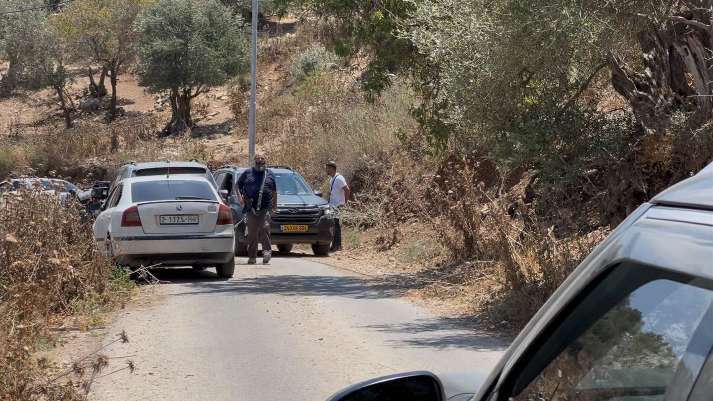 مستوطنون يعتدون على قاطفي الزيتون في قرية مراح رباح جنوب بيت لحم