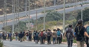 مستوطنون يقتحمون سردا وحي الريحان شمال رام الله