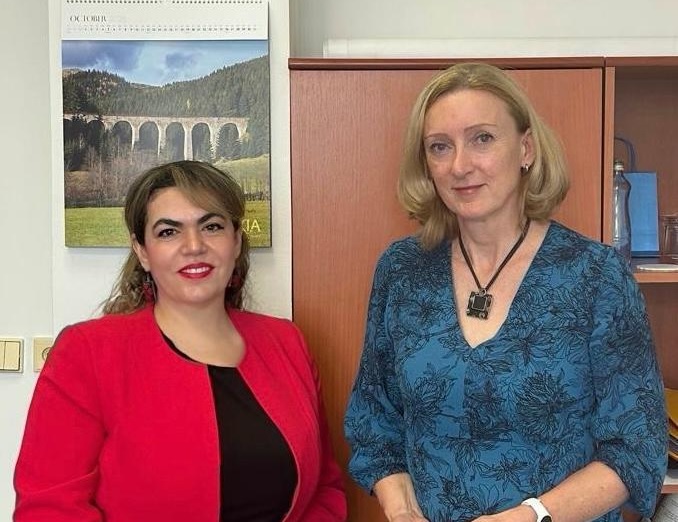 السفيرة صفاء الخالدي تبحث مع الخارجية السلوفاكية آخر التطورات في فلسطين