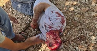 مستوطنون ارهابيون يهاجمون قرية أوصرين جنوب نابلس ويصيبون مواطنين بجروح