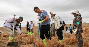 "المسيرة الطويلة الخضراء" في الصين تعزز الإصلاح البيئي ومكافحة التصحر