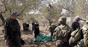 مستوطنون بحماية جيش الاحتلال يهاجمون المزارعين في منطقة قماص ببلدة بيتا